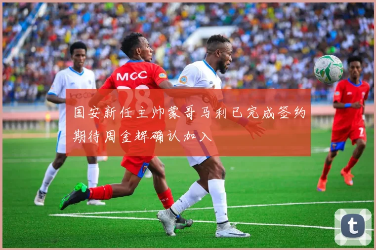 国安新任主帅蒙哥马利已完成签约期待周金辉确认加入